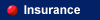 Mexican Insurance