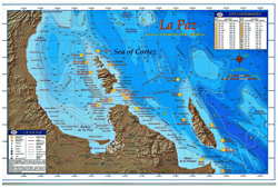 Laminated Fishing Maps