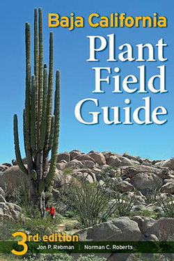 Baja California Plant Field Guide