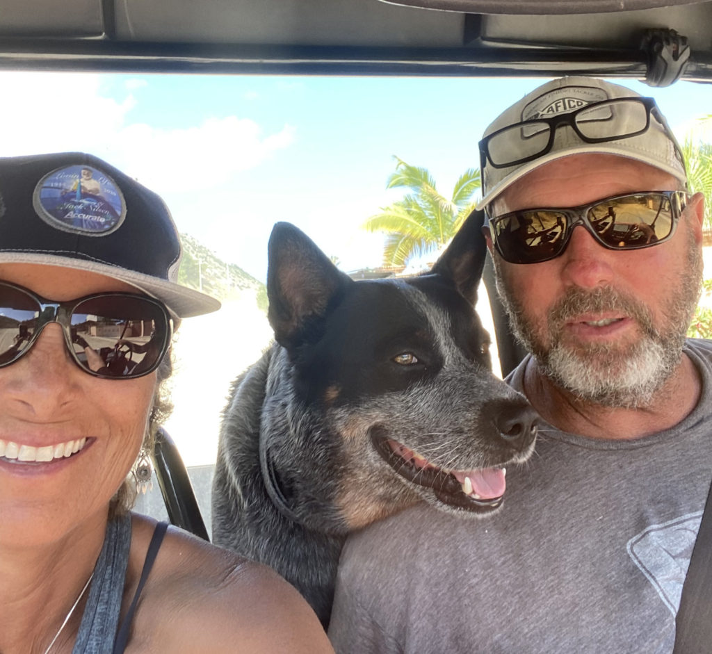 travel with pets in mexico